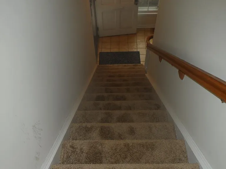 38 Williamsburg Dr — Photo 9