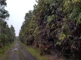 Uki Rd LOT 8739, Volcano, HI 96785