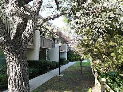 3 bed, 2.5 bath, 1452 sqft, $3,950 — Photo 1