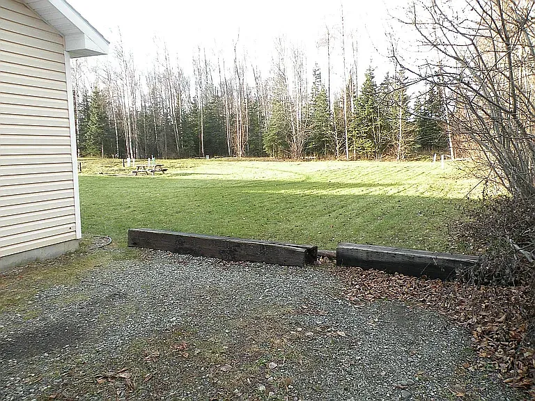 shared backyard