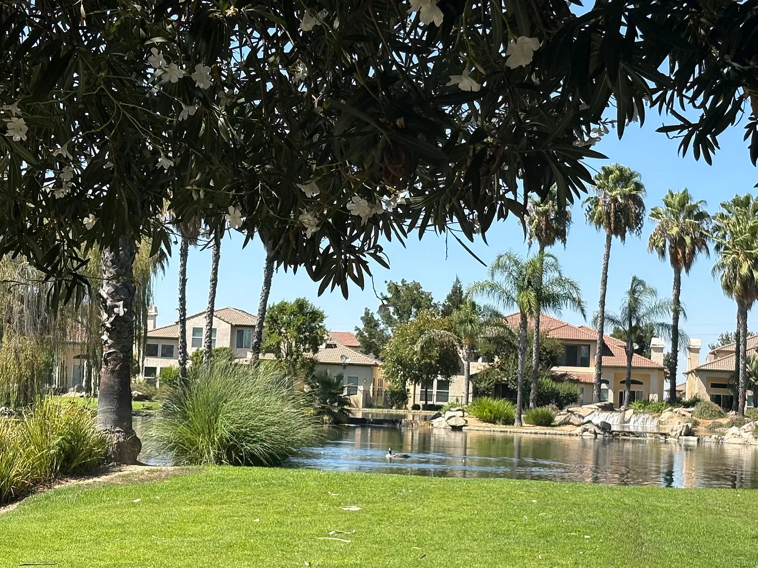 Studio, 300 sqft, $1,400 — Photo 4