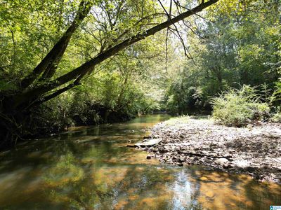 County Road 534, Woodland, AL, 36280
