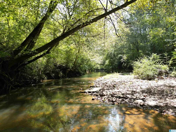 County Road 534, Woodland, AL 36280