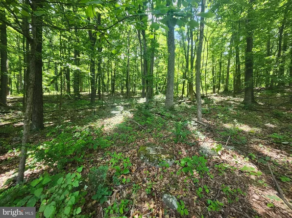 66 Cabin Rd, Capon Bridge, WV 26711