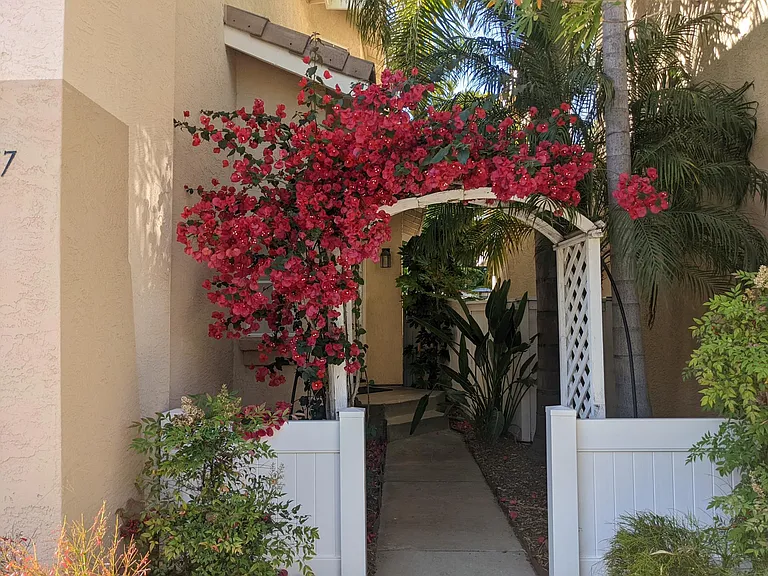1847 Adriana Ct — Photo 4