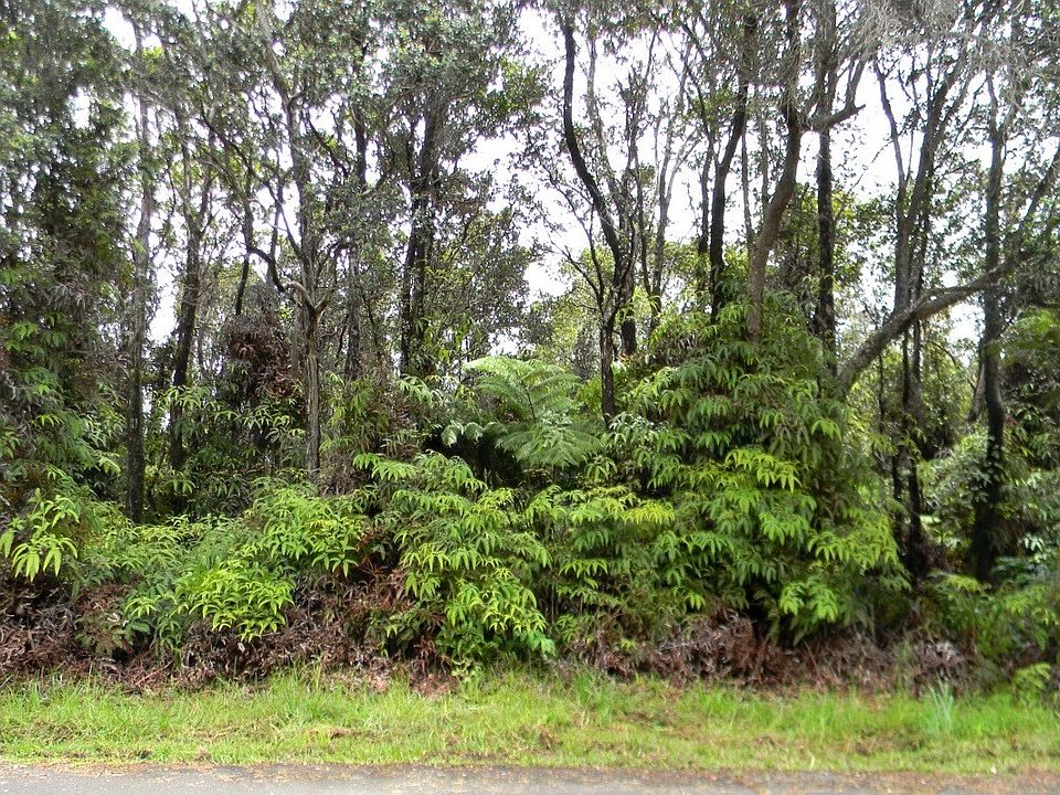1st image of Nahelenani St Lot 453