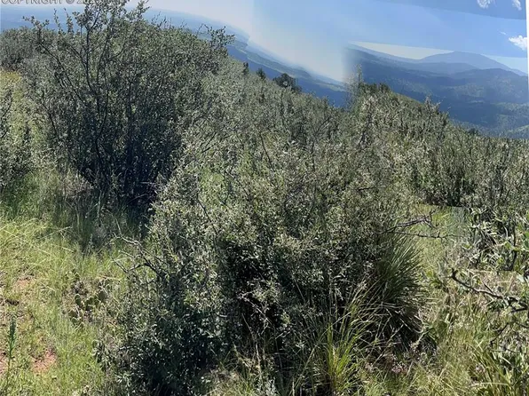 Black Canyon Rd, Colorado Springs, CO 80904