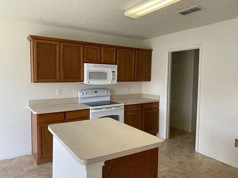 1101 Mustang Ridge Dr — Photo 11