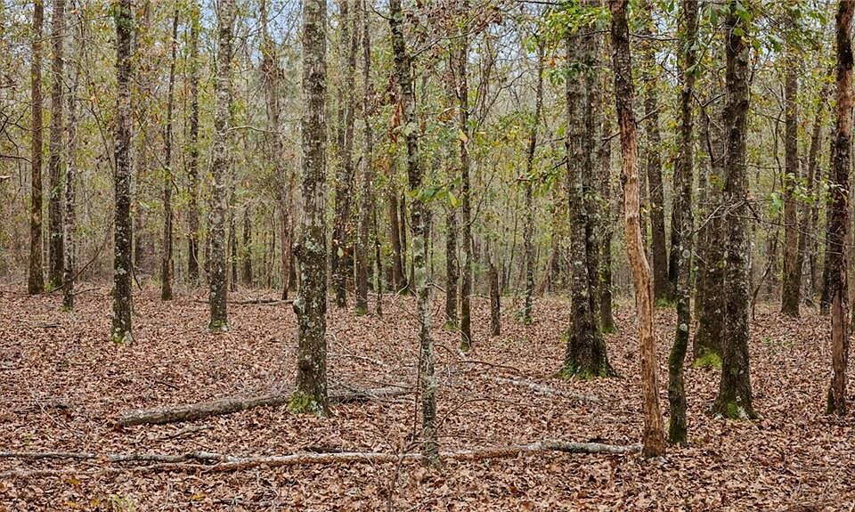 923 Hunter Rd Ellaville GA Zillow