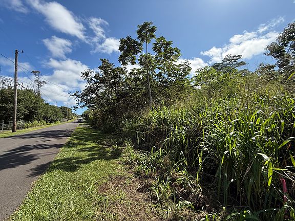 4th image of Manalo St Lot 1036