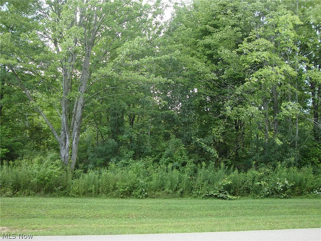 Harper Valley Ln photo 1