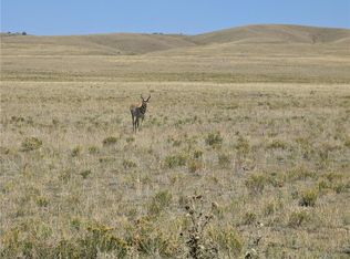 527 Cochiti Rd, Hartsel, CO 80449