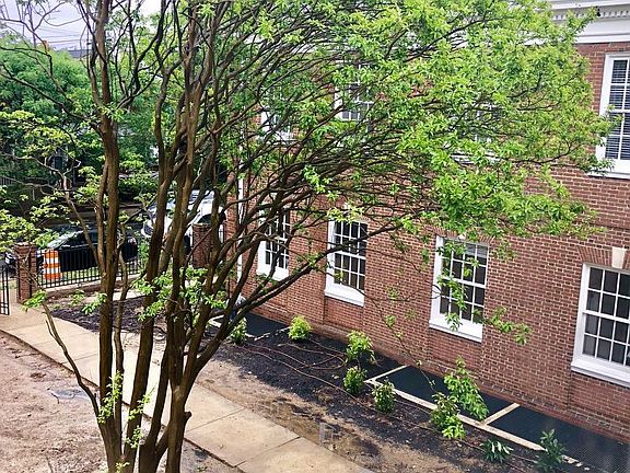 2nd image of 3003 Parkwood Ave