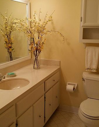 Bright newly painted hall bath : Full bath with large mirror, lots of counter space and storage, new