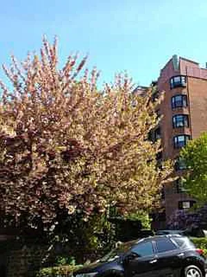 Rented by Sovereign Associates | media 35