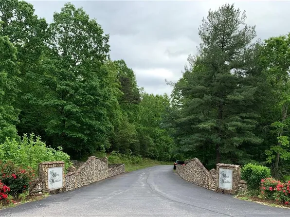 11 Cabin Cove Ln #11, Moravian Falls, NC 28654