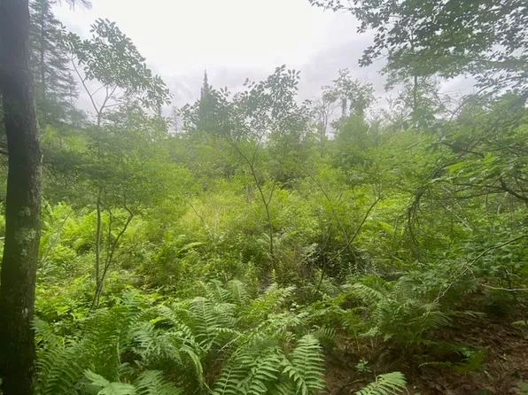 Marsh Rd Lot 33, Lindley, NY 14858