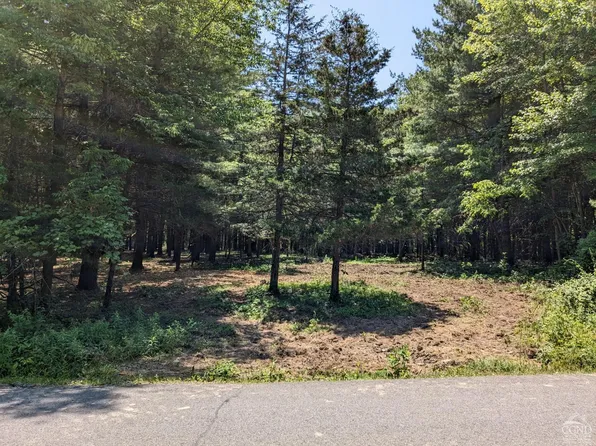 1771 Sleepy Hollow Road, Coxsackie, NY 12015