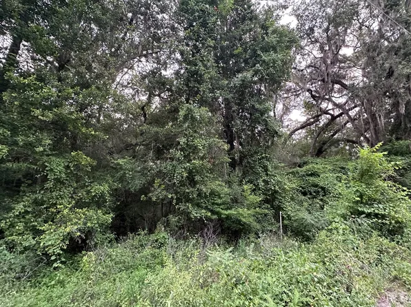 Tbd Se Riverside East Dr, Branford, FL 32008