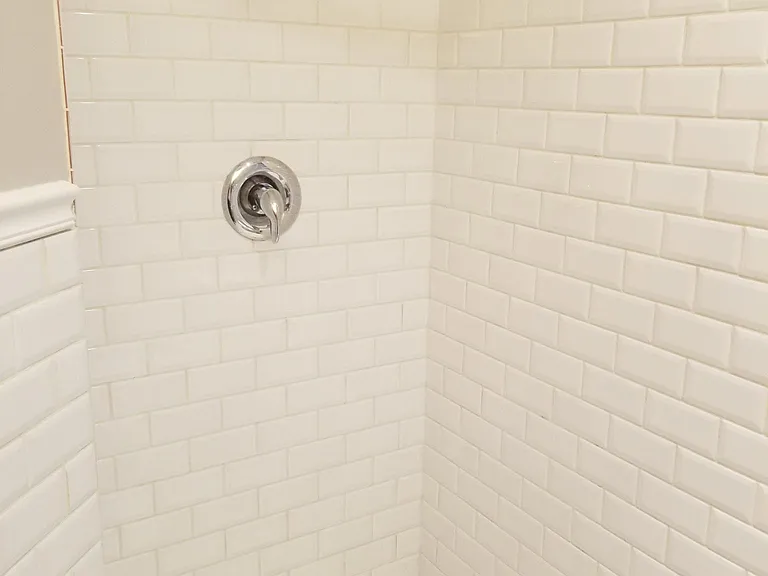 Shower in guest bathroom