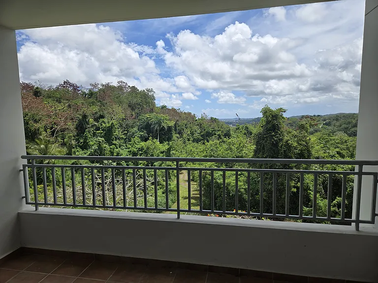 450 Highway 844 Cond Buena Vis #1331 — Photo 14