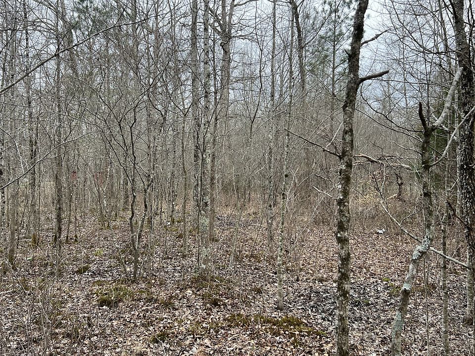 2nd image of 1 Forrestwood Dr