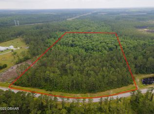 106 Creekside Dr, Bunnell, FL 32110