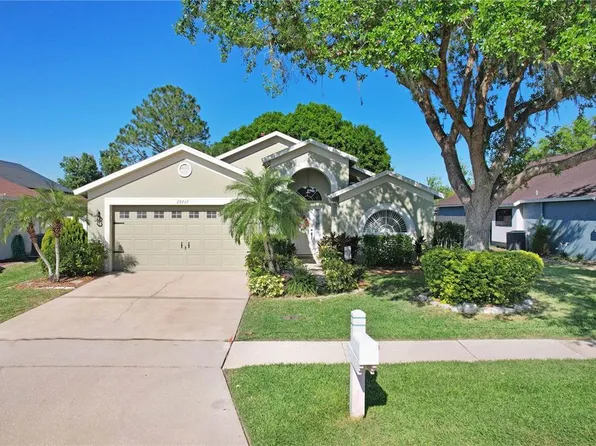 29737 Fog Hollow Dr, Wesley Chapel, FL 33543