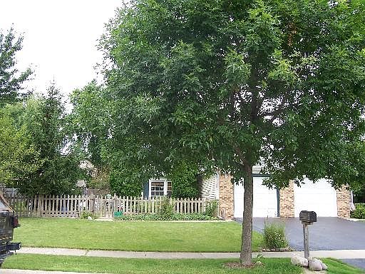 1st image of 172 E Placid Ave