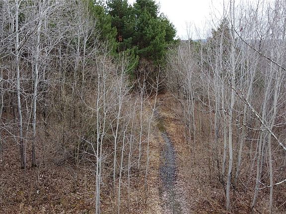 3rd image of Tyler Hollow Rd Lot 4