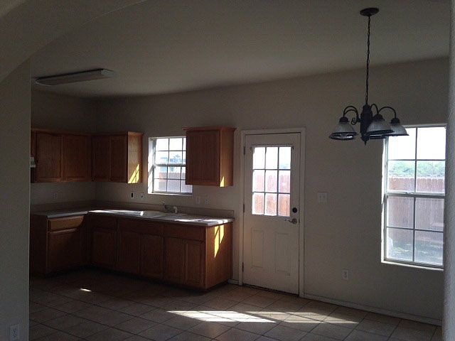 2nd image of 2708 Gray Birch #46