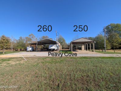250 Peavy Cv, Decaturville, TN, 38329