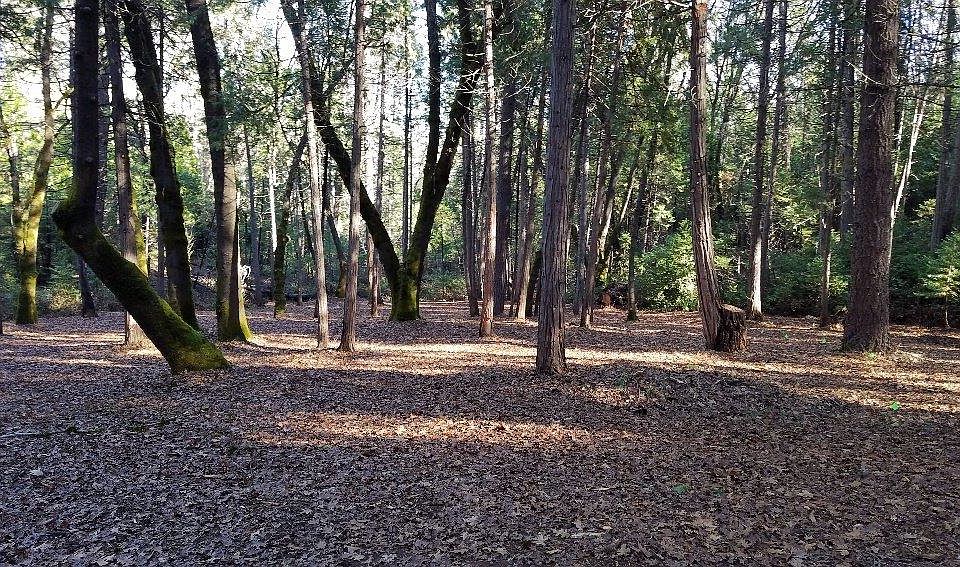 1st image of 13463 Capitol Dr