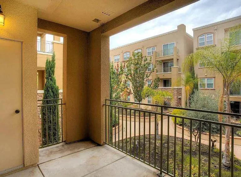 49002 Cinnamon Fern Cmn #321 — Photo 10