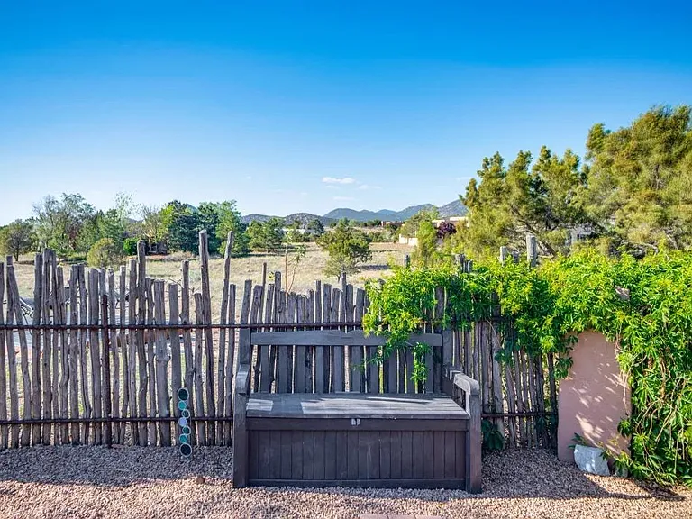 back yard