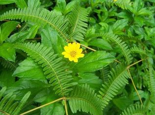 Lot 664 Pahoa Rd, Pahoa, HI 96778