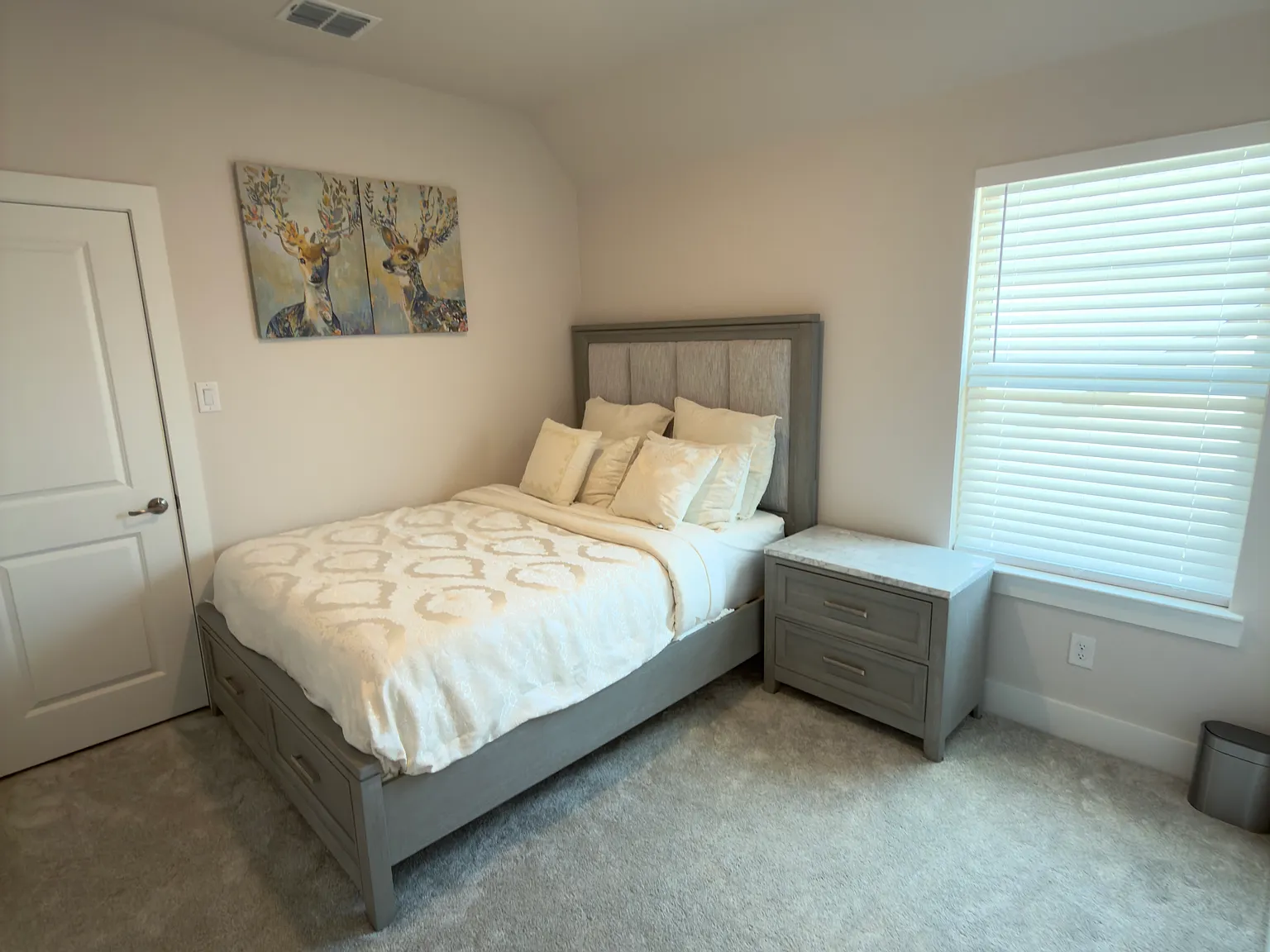 Amaryllis Ln, Aubrey — Photo 2