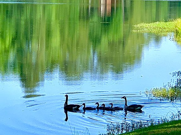 View of birds & fishing area