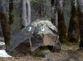 15660 Stagecoach Dr, Oak Run, CA 96069