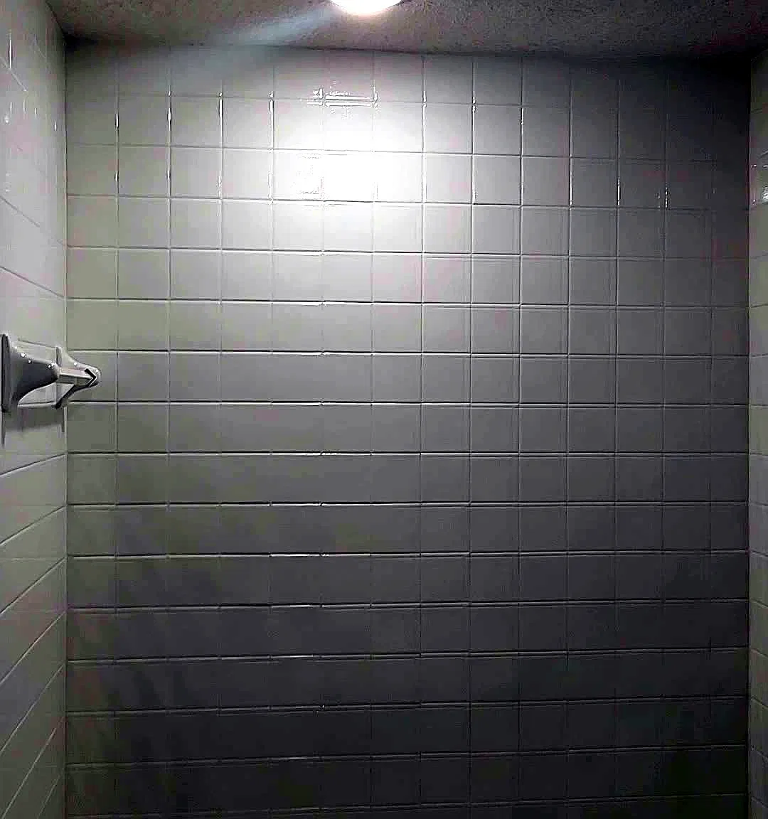 2 bed, 850 sqft, $1,900 — Photo 4