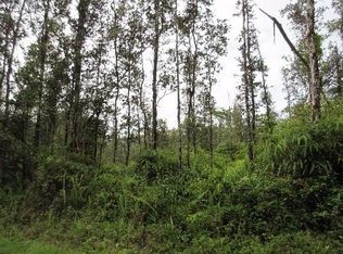 Lehua Rd LOT 161, Pahoa, HI 96778