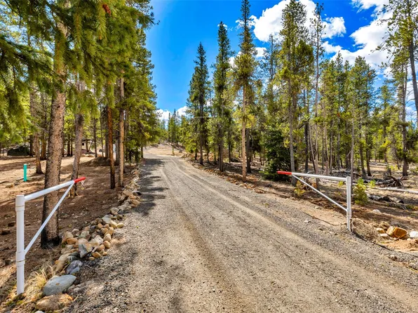 265 Placer Drive, Alma, CO 80420