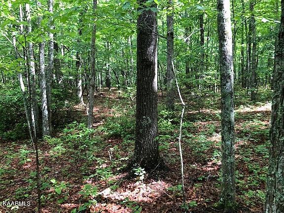 3rd image of Cowpens Dr
