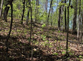 Rosenkranz Ln, Hayesville, NC 28904