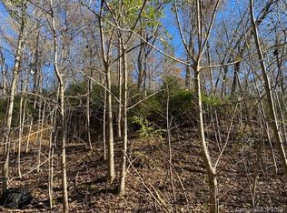 1309 Buffalo Shoals Rd, Lake Lure, NC 28746