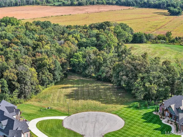 421 Knights Valley Ct, O'Fallon, MO 63366