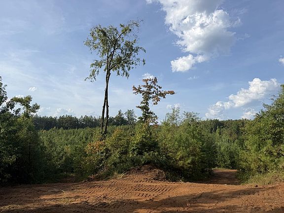 5th image of 0 County Road 222