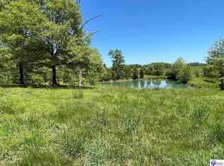 4489 Salt River Rd, Rineyville, KY 40162