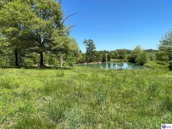 4489 Salt River Rd, Rineyville, KY 40162