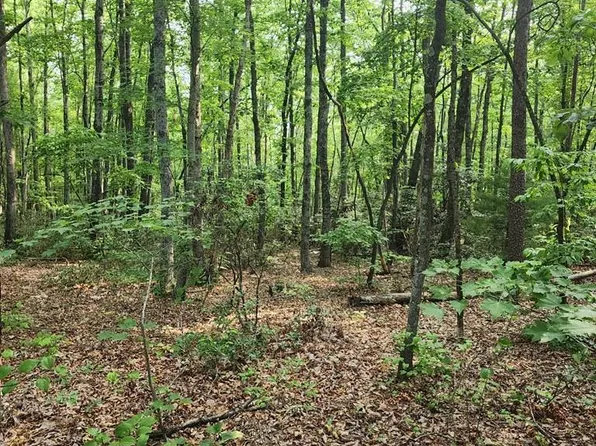 0 Vfw Rd, Patrick Springs, VA 24133